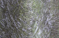 Rusholme fibreglass roof work